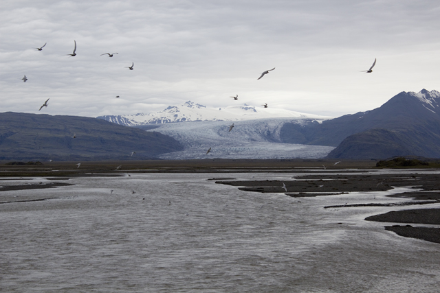 2011-07-05_16-14-12 island.jpg - Flaajkull